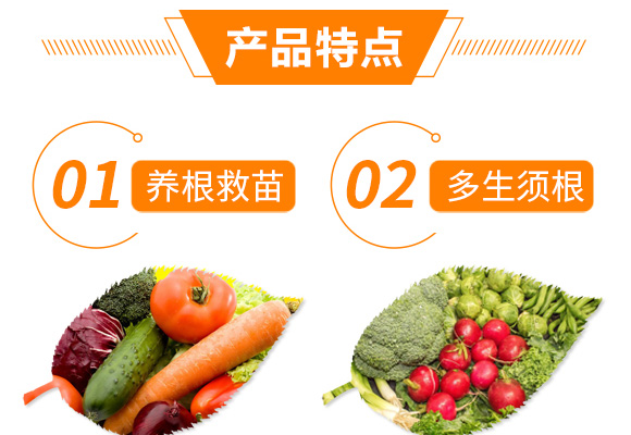 ΢�������-���S��-���R�S_05