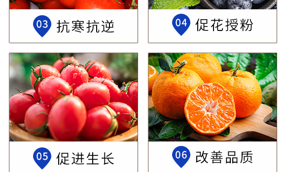 ֲ�￹��������-Ӣ���~��_07