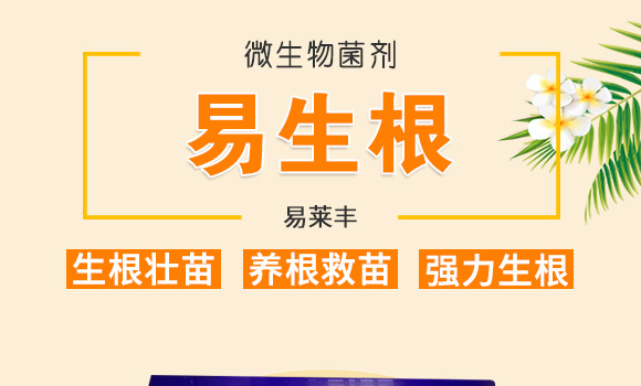 ΢�������-���S��-���R�S_01