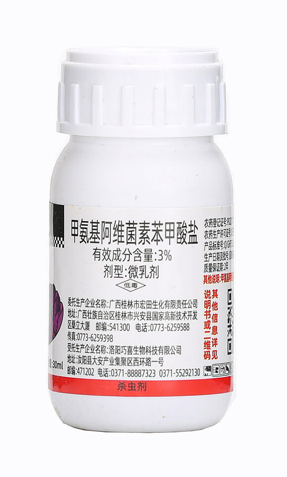 �����x����-���¹�-��������6