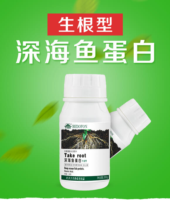 ��������~(y��)����-ؐ���S_01