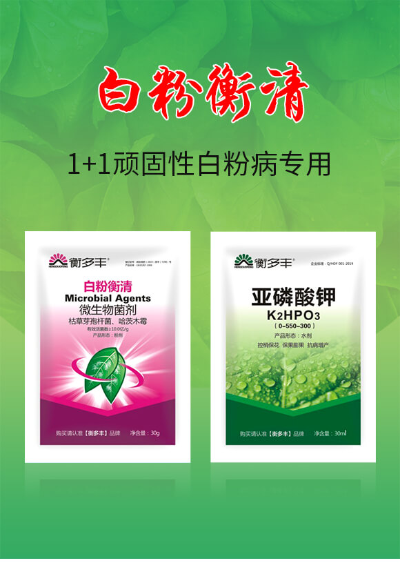 1+1頑固性白粉病專(zhuān)用-白粉衡清-衡多豐_01