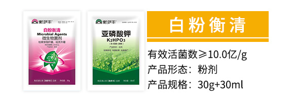1+1頑固性白粉病專(zhuān)用-白粉衡清-衡多豐_02