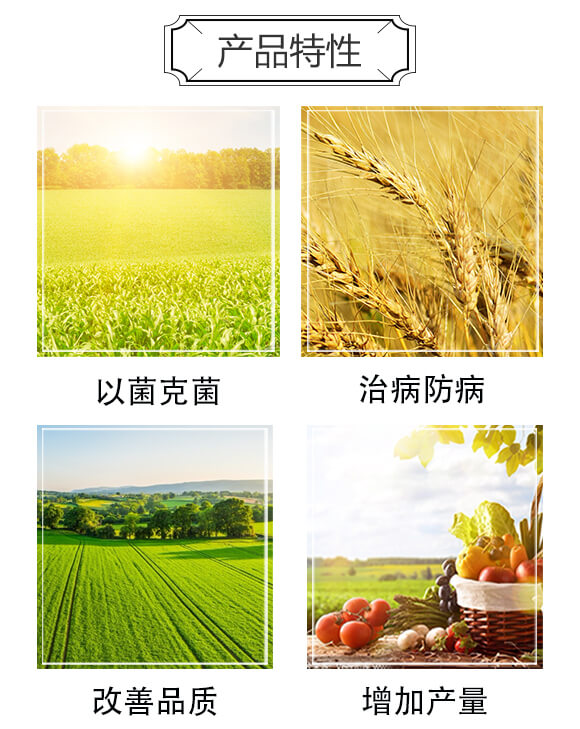 ���Sήһ�΃�-����S_03