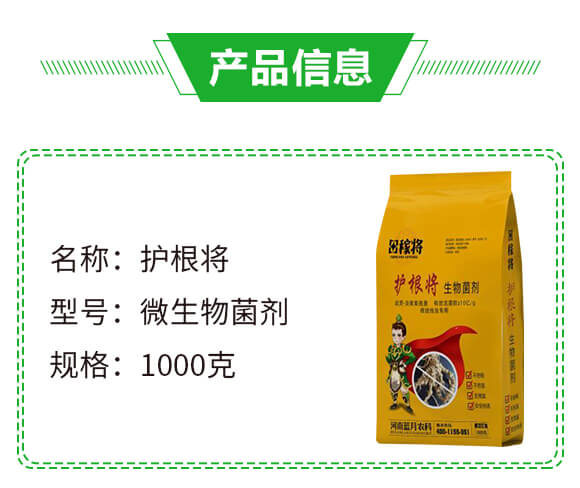 ΢�������-�o����-��ڌ�-�{���r(n��ng)��_02