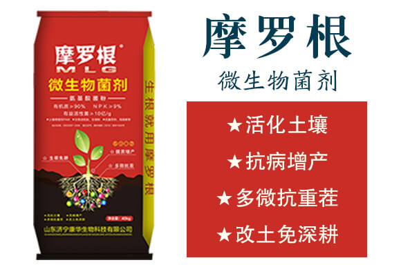 ΢�������-Ħ�_��-���A����_02