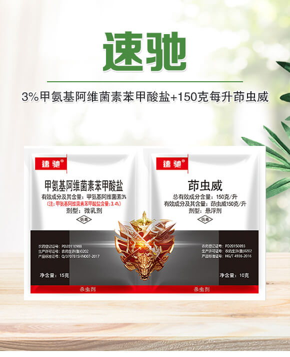 3%�װ������S���ر������}+150��ÿ�����x(ch��ng)��-���Y-�����r(n��ng)��_01