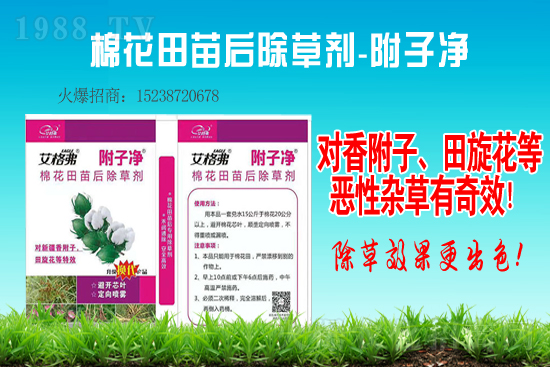 2021��1��30�ծ����ݰ����݄��r(ji��)���߄�(sh��)