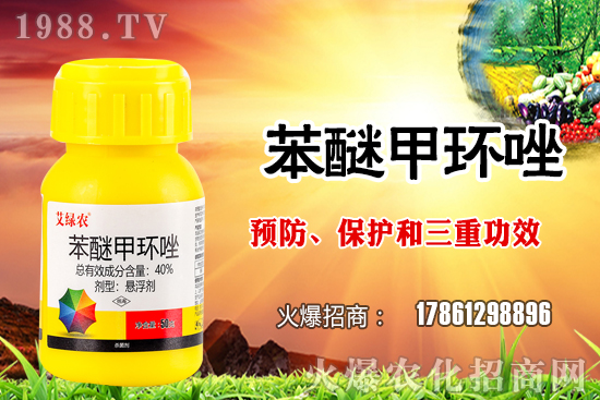 ����������x�����׷N�������׷NֲҪע����Щ��(w��n)�}��