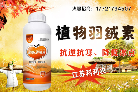 春玉米種植密度如何把握，春玉米施肥及中后期管理！