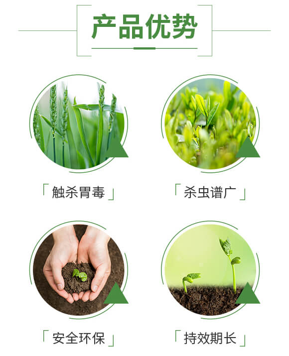 6%����ù��-�{���z-�����r(n��ng)��_03