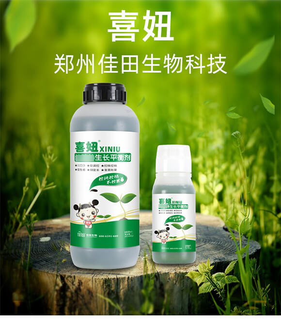 ���I�B(y��ng)���L(zh��ng)ƽ�℩-ϲ�-��������_01