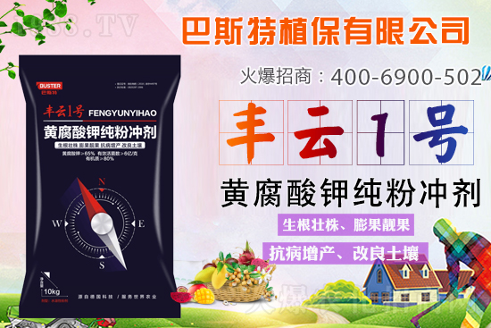 土壤板結(jié)/鹽漬化/酸化難解決?就用黃腐酸鉀純粉劑!