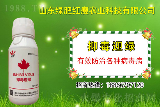 ���β�������Ҳ���ð������ֶ�ӭ�G�����β�������