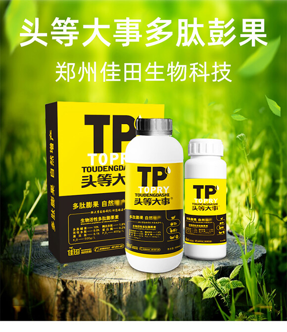 �������-�^�ȴ���-��������_01