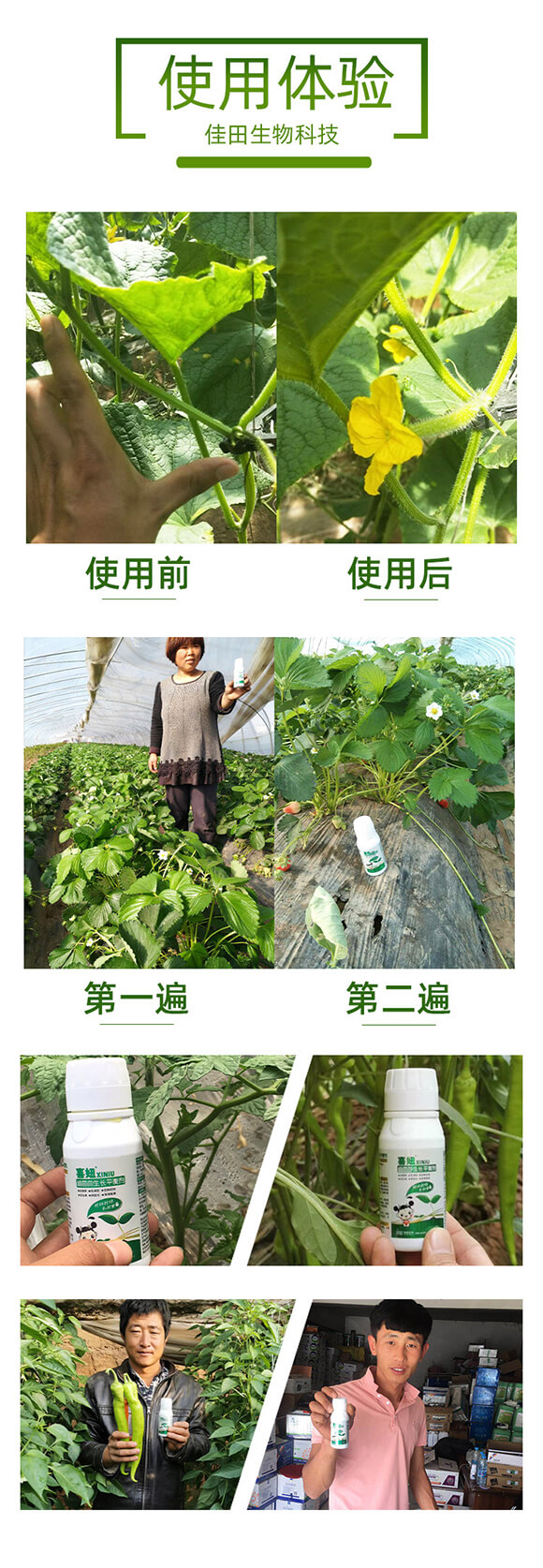 ���I�B(y��ng)���L(zh��ng)ƽ�℩-ϲ�-��������_06