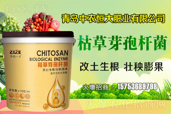 �ݲ�ѿ�ߗU������ǡ����С��᣿�ݲ�ѿ�ߗU�����w�������˽�᣿