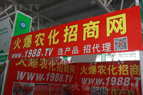 ��s���2021ɽ�|ֲ�������𱬾W(w��ng)��������ʢ�e��