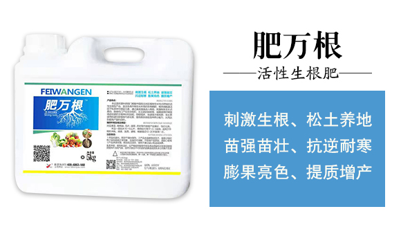 꿾����F1_02