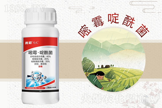 �¹چ̵��ٺ�1988.TV���T�����x����