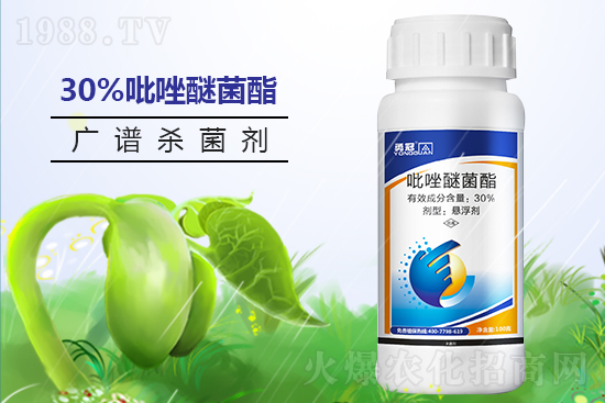 �¹چ̵��ٺ�1988.TV���T�����x����