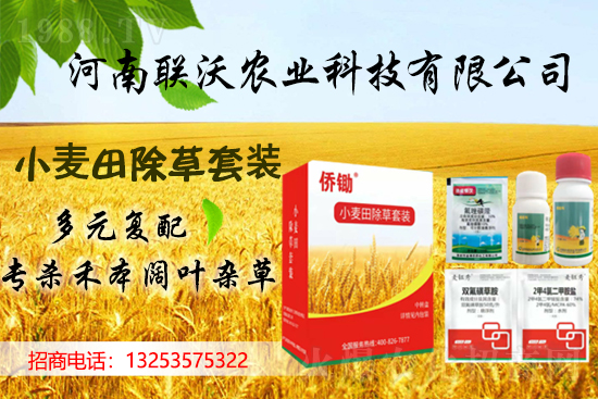 (li��n)���r(n��ng)�I(y��)�m(x��)�s1988.TV���y�ֹ���(chu��ng)���x����