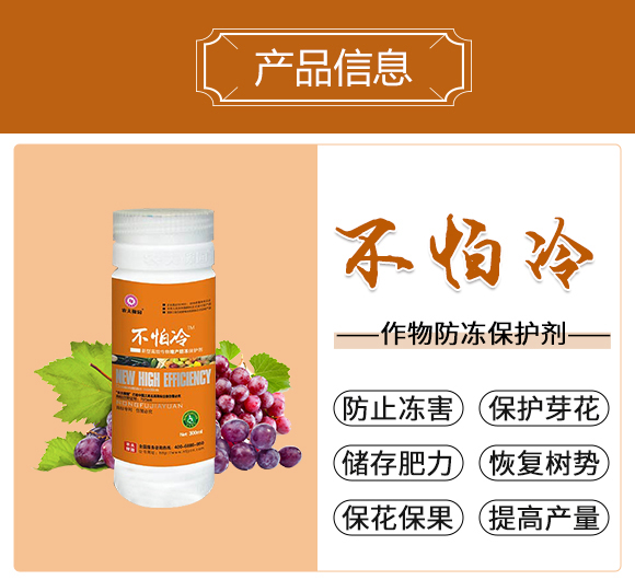 ������-�r��ڈ@_02