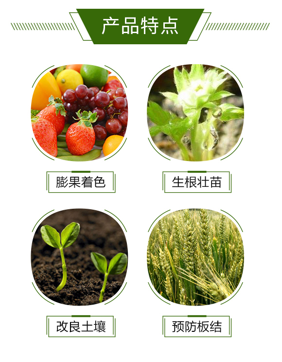 �{(l��n)ݮ-��»��r(n��ng)_03