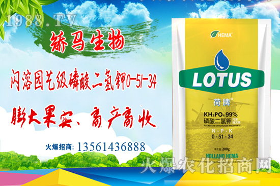 ⛷ʃr���ů��11��15��⛷ʃr������