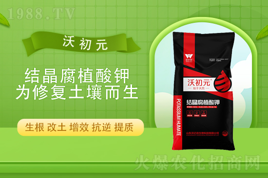  ��(f��)�Ϸ����������11��2�Տ�(f��)�Ϸʃr(ji��)������