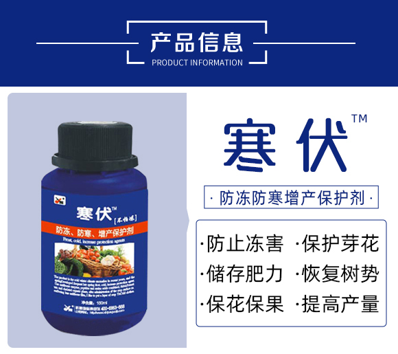 ����-꿾����F_02