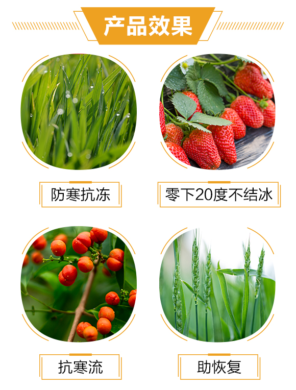 ����һ���r(n��ng)�I(y��)�Ƽ����޹�˾2_03