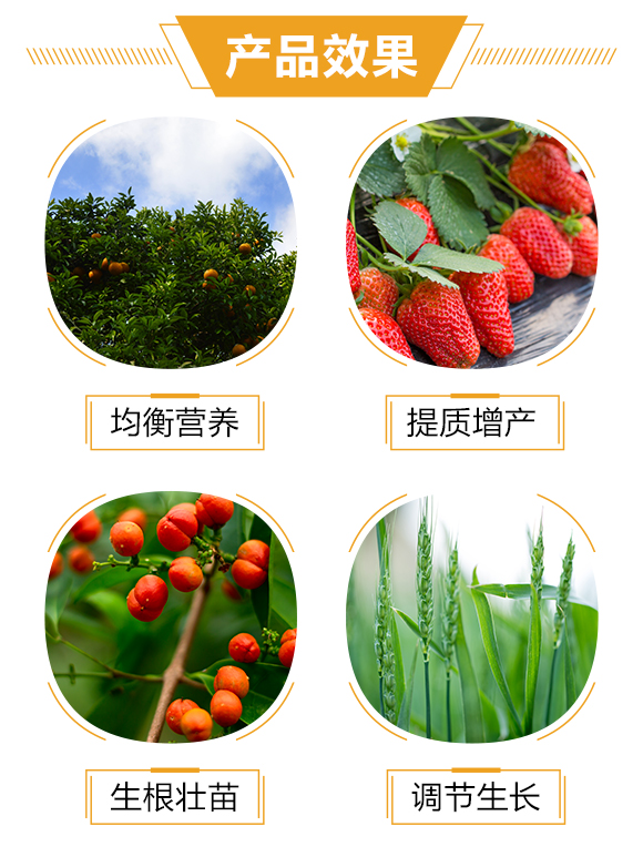 �o(h��)����(gu��)�H1_03