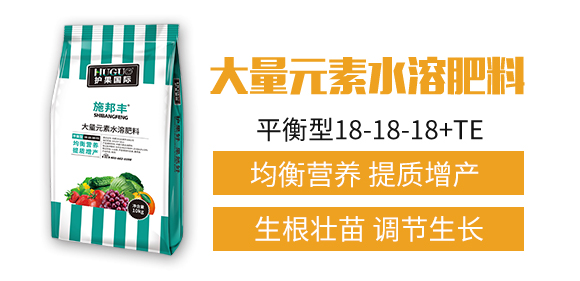 �o(h��)����(gu��)�H1_02