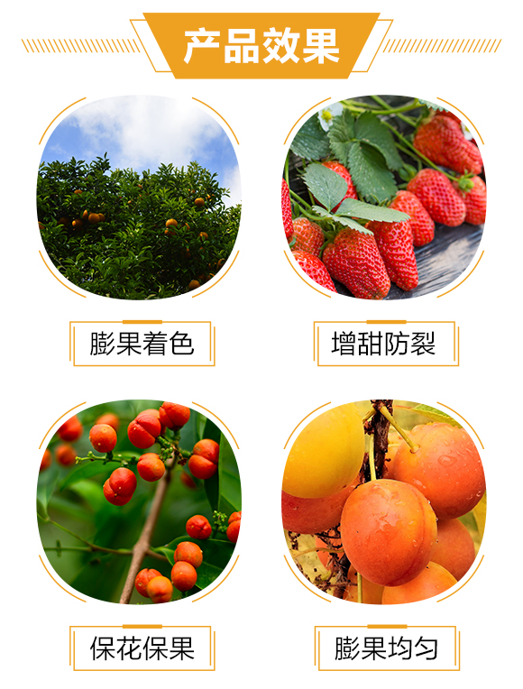 �o(h��)����(gu��)�H2_03