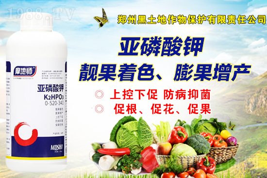 2021��12��2�����@��r�Ƕ�����