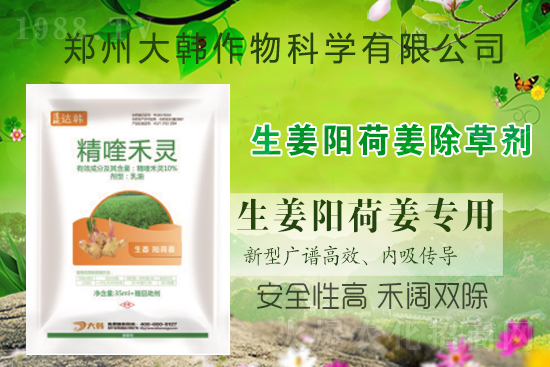 ��ꖺɽ���ô���������ش�ʲô���݄�����ꖺɽ����ݷ�����ע�����