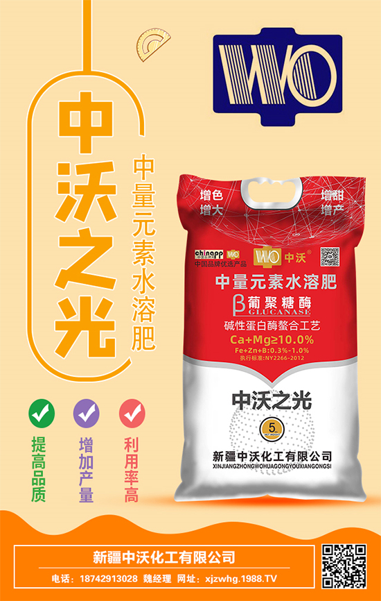 ���ֻ����m(x��)�s1988.TV���y���r(n��ng)���W(w��ng)�ل�(chu��ng)���x����