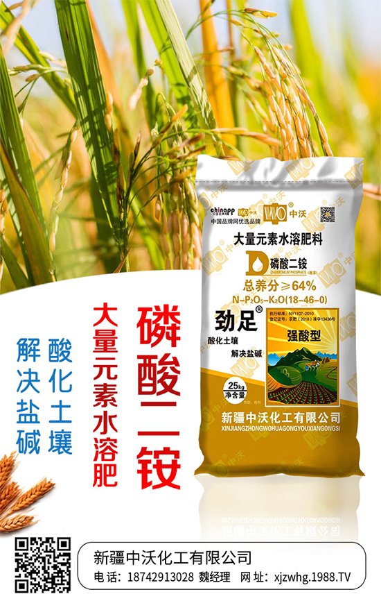 ���ֻ����m(x��)�s1988.TV���y���r(n��ng)���W(w��ng)�ل�(chu��ng)���x�ͣ�