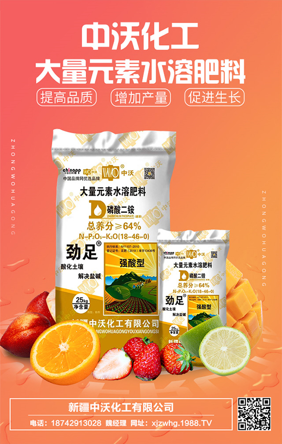 ���ֻ����m(x��)�s1988.TV���y���r(n��ng)���W(w��ng)�ل�(chu��ng)���x�ͣ�