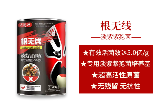 �����f�����ﱣ�o���޹�˾_02