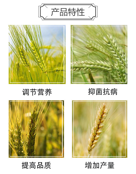 С���߮a(ch��n)�ײ�-�������Z_03