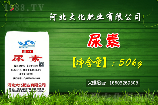 �t��������������Xһ�����Nֲǰ����Σ�