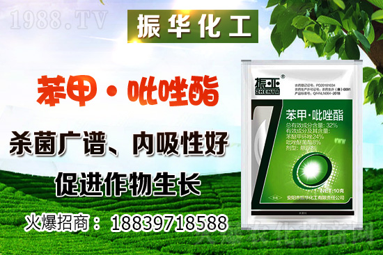 柴胡該怎么種植?柴胡種植方法及環(huán)境要求!