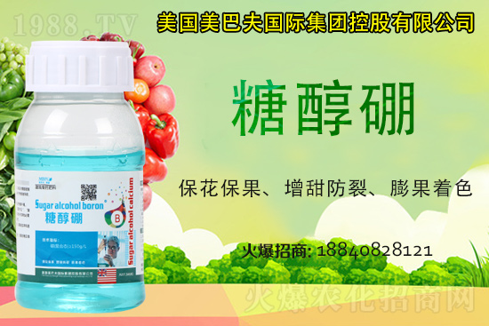 今日稻谷多少錢(qián)一斤？2021年稻谷價(jià)格是否還會(huì)漲？