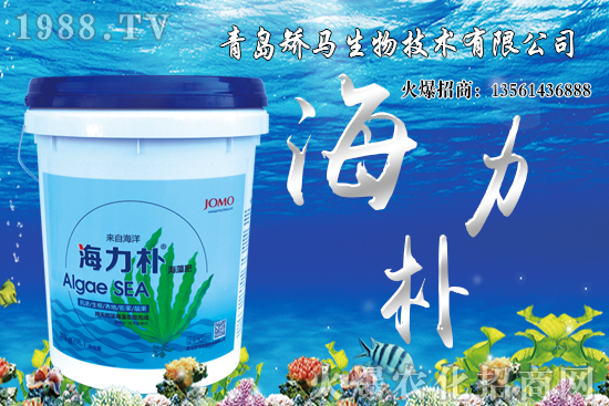 雪桃苗價格多少錢一棵？2021年種植雪桃能賺錢嗎？