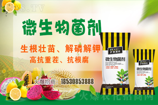 ��ݮ�����F(xi��n)���l���l(f��)������ҪԴ��ʲô������