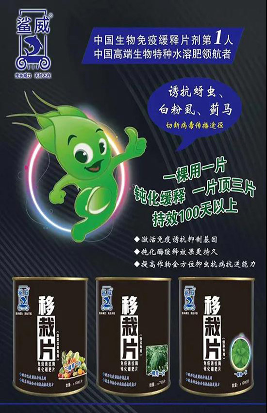 作物移栽時，怎么做能有效避免蟲害呢？