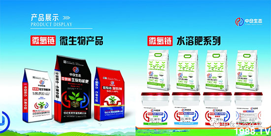 “菜無味、瓜不甜、果不香”是化肥惹的禍？