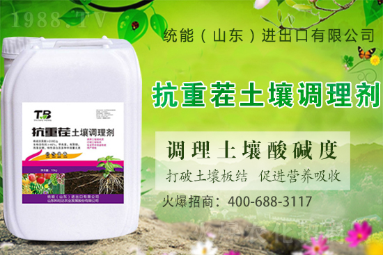 板栗種植怎么選苗子?板栗種植管理要點(diǎn)!